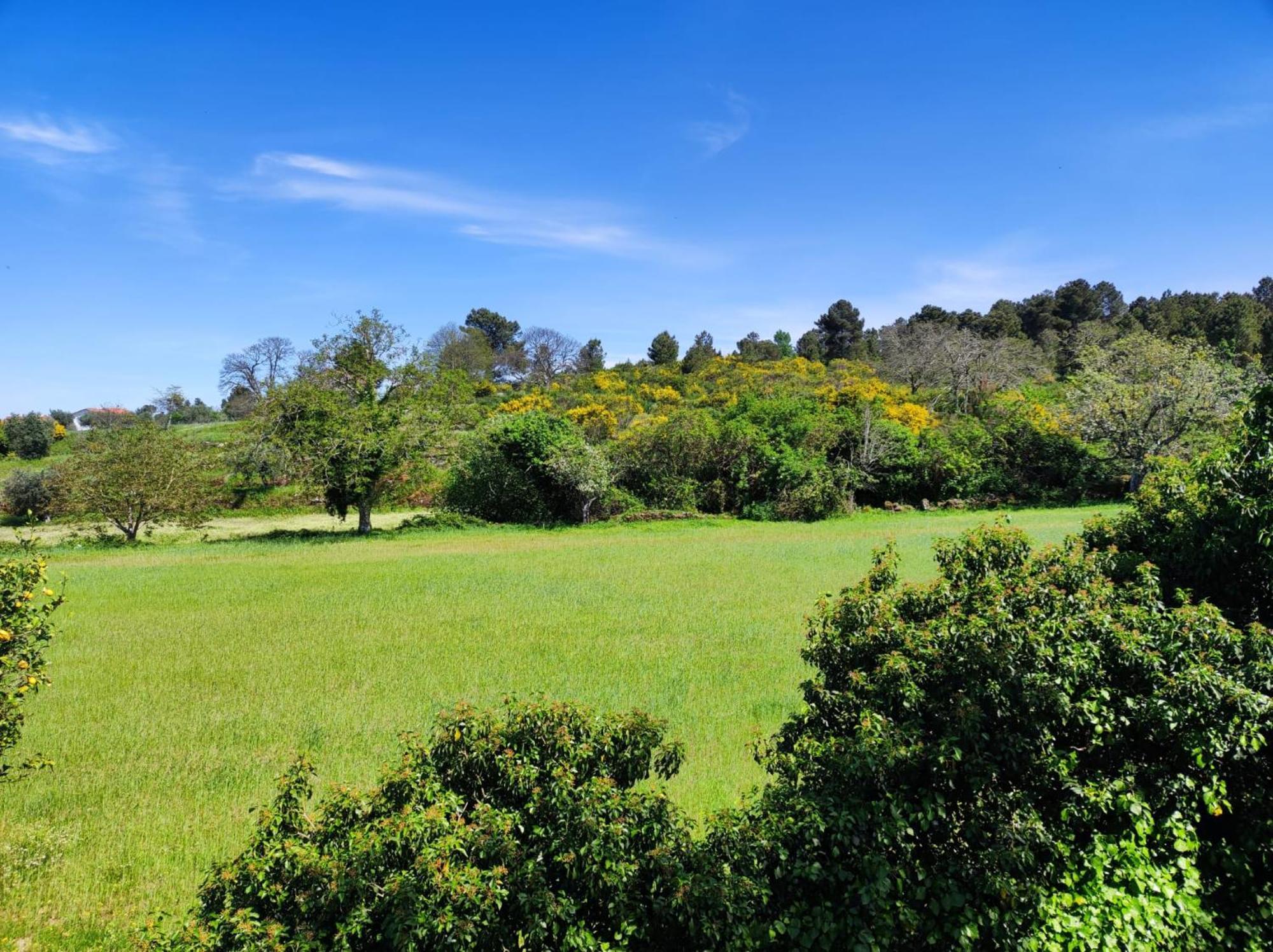 Casa Da Martha Villa เซลอริโก ดา เบรา ภายนอก รูปภาพ
